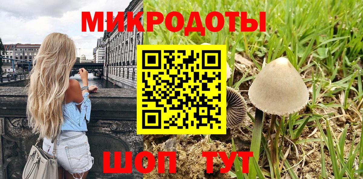 Сердобск  Псилоцибиновые грибы MAGIC MUSHROOMS  Вход с VPN 